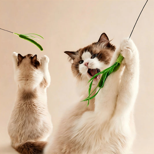 Moop Natural Grass Cat Wand Toy